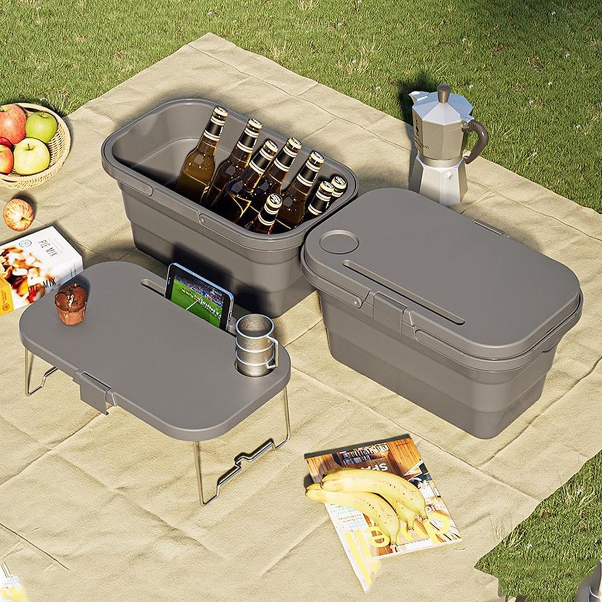 ZS - Multifunctional Foldable Picnic Box