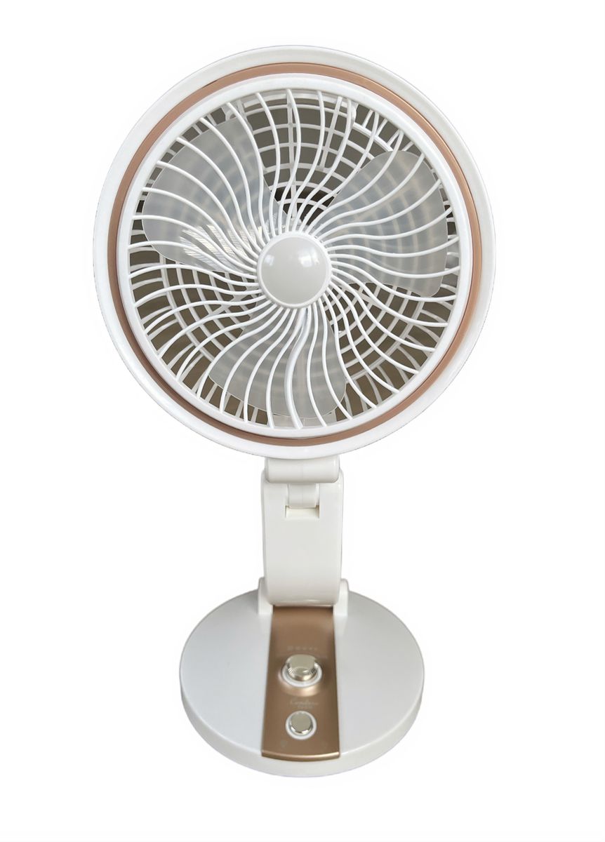 ZS - Portable rechargeable Continuously Variable Folding Lighting fan