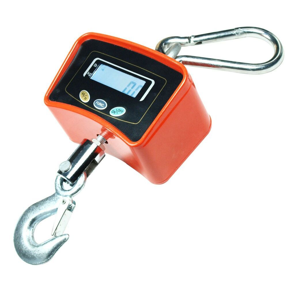 ZS - 500Kg Crane Scale