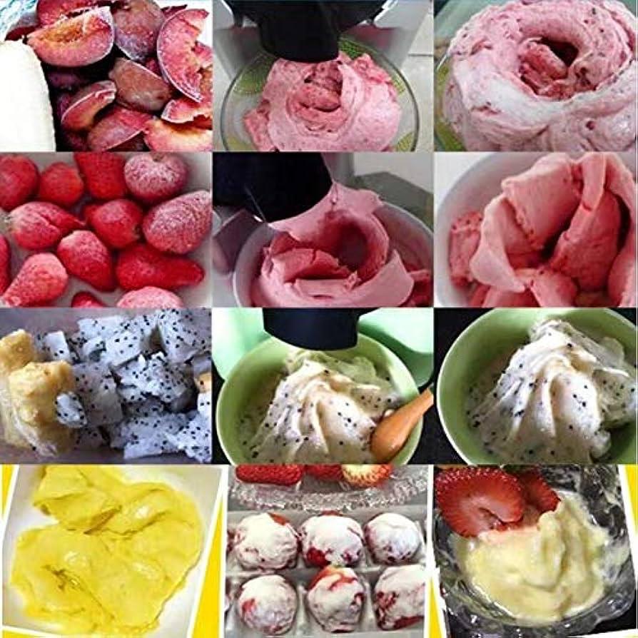 ZS - FRUITY ICE CREAM MACHINE