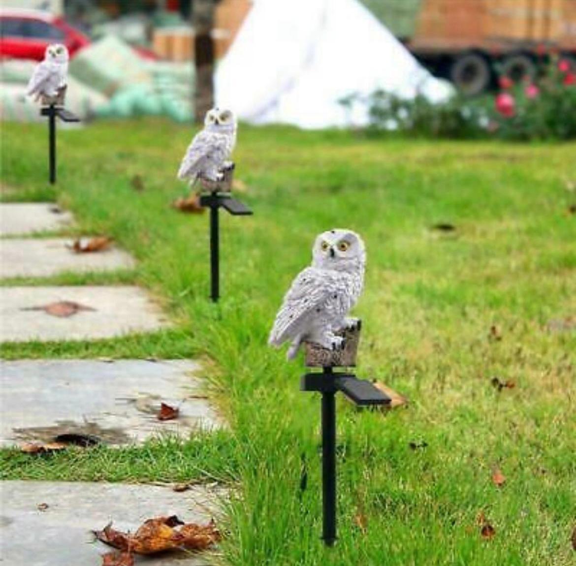 ZS - Bird Statue Solar Light - Owl