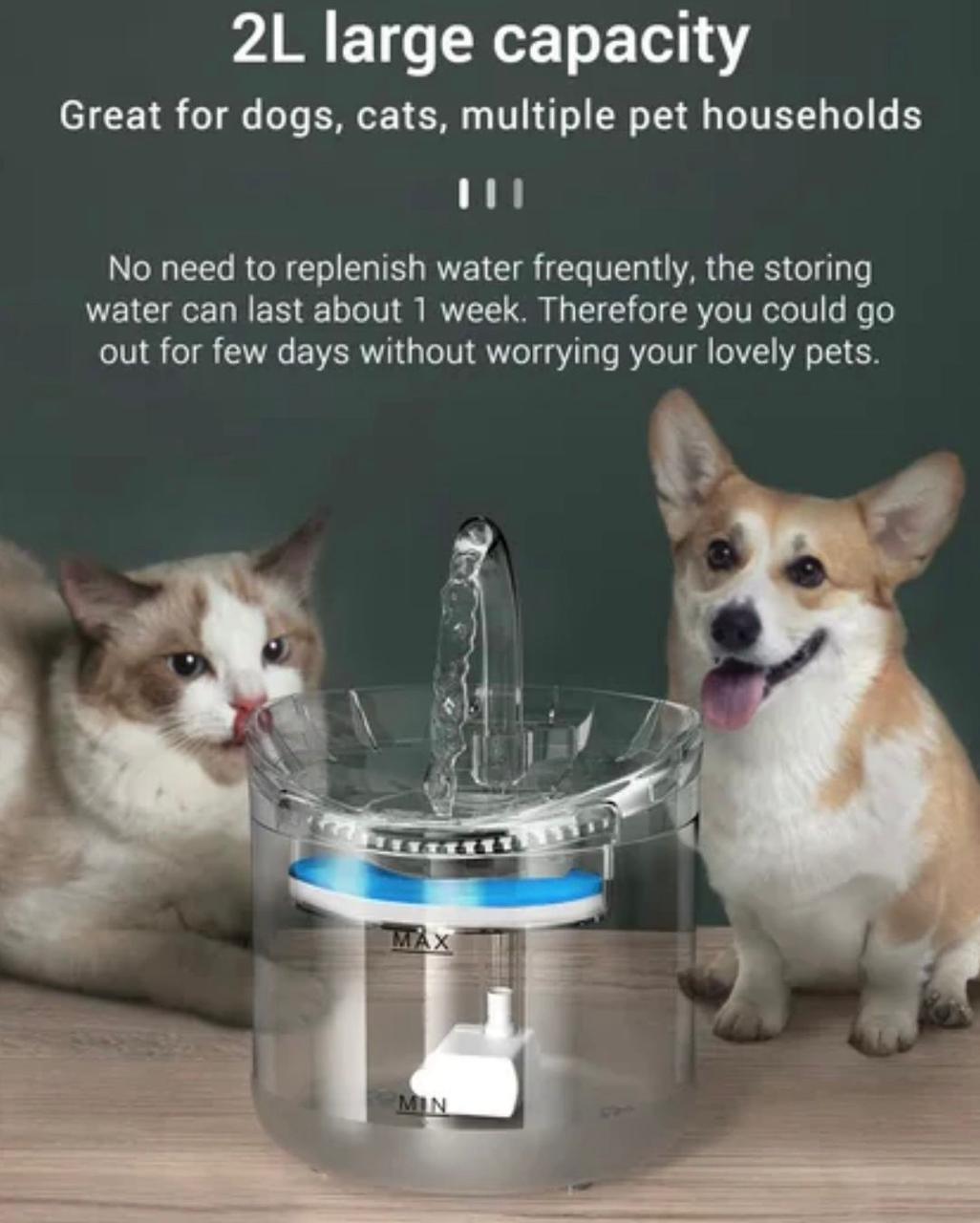 ZS - Pet Water Fountain Transparent