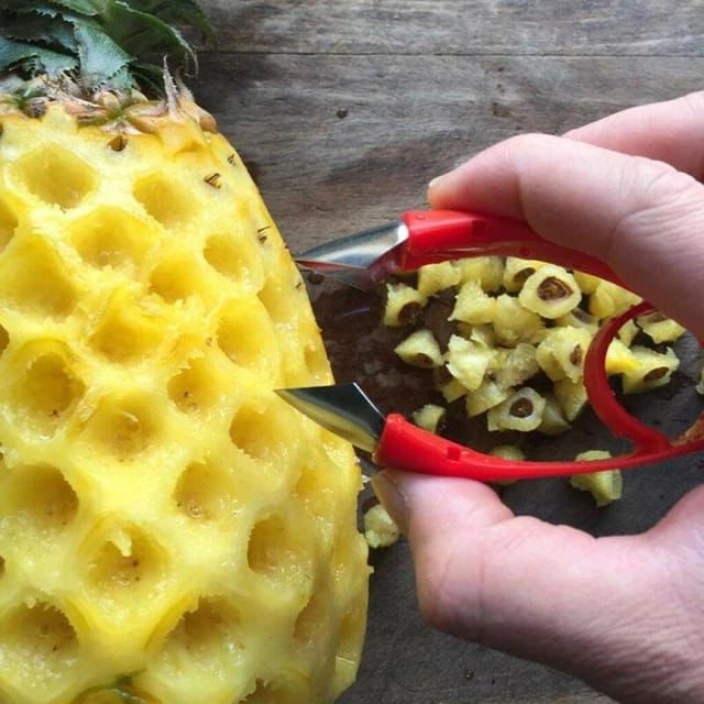 ZS - Fruit Stem Huller Multipurpose