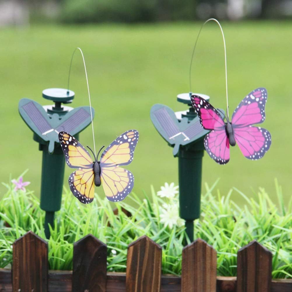 ZS - Fluttering Solar Bird