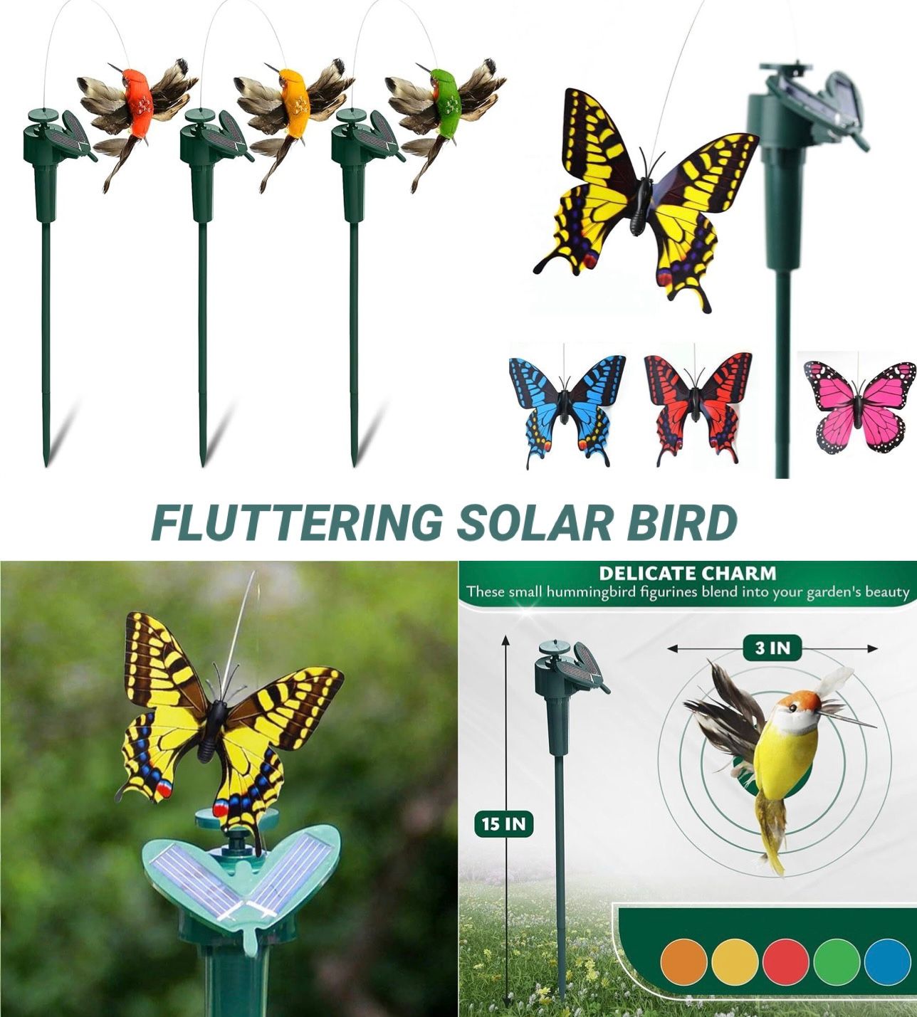 ZS - Fluttering Solar Bird