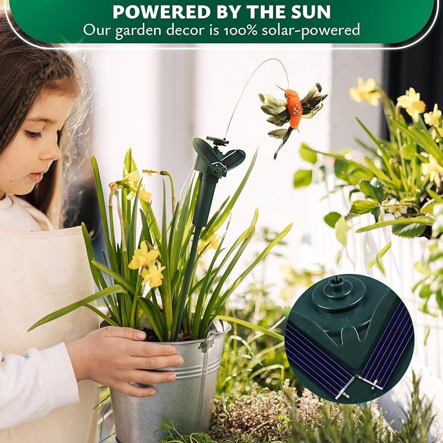 ZS - Fluttering Solar Bird