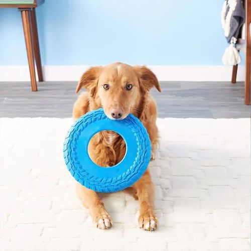 ZS - Pet Frisbee Toy