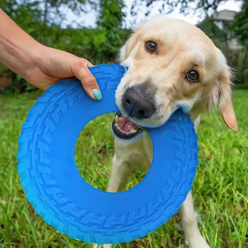 ZS - Pet Frisbee Toy
