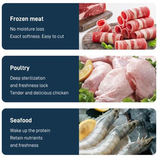 ZS - 4 in 1 Meat Defroster/Thawer