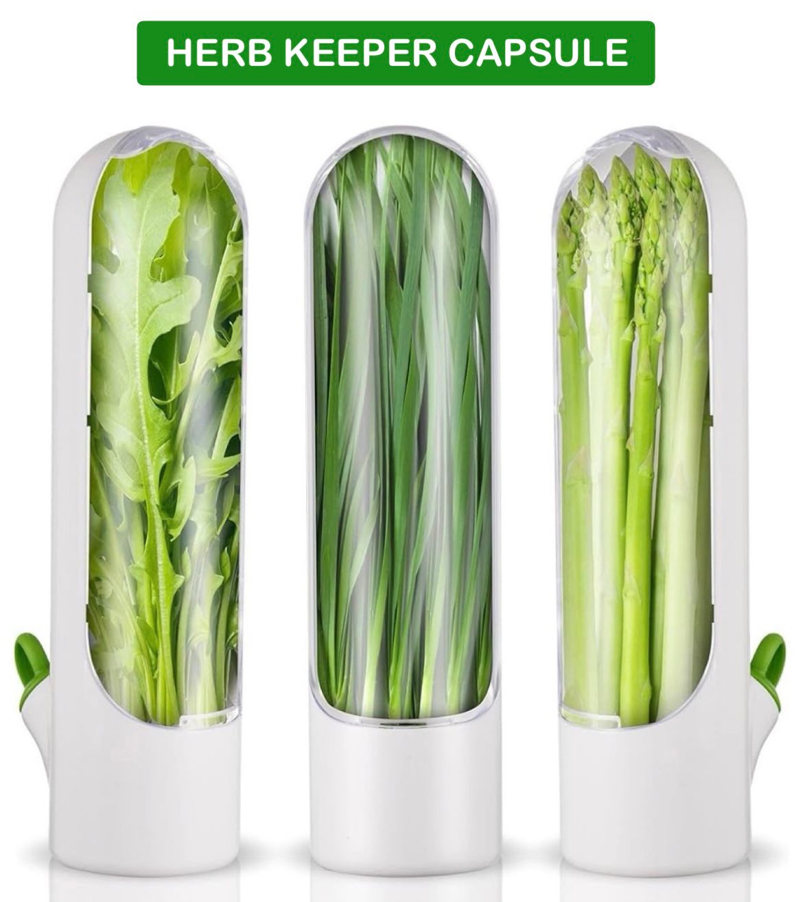 ZS - Herb Keeper Capsule