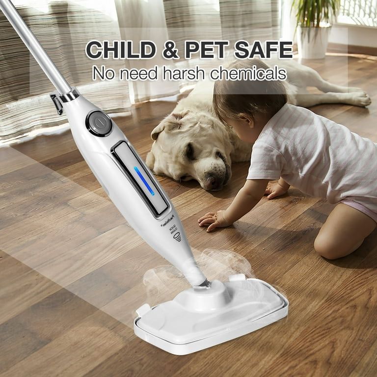ZS - RAF 10 in 1 Steam Mop