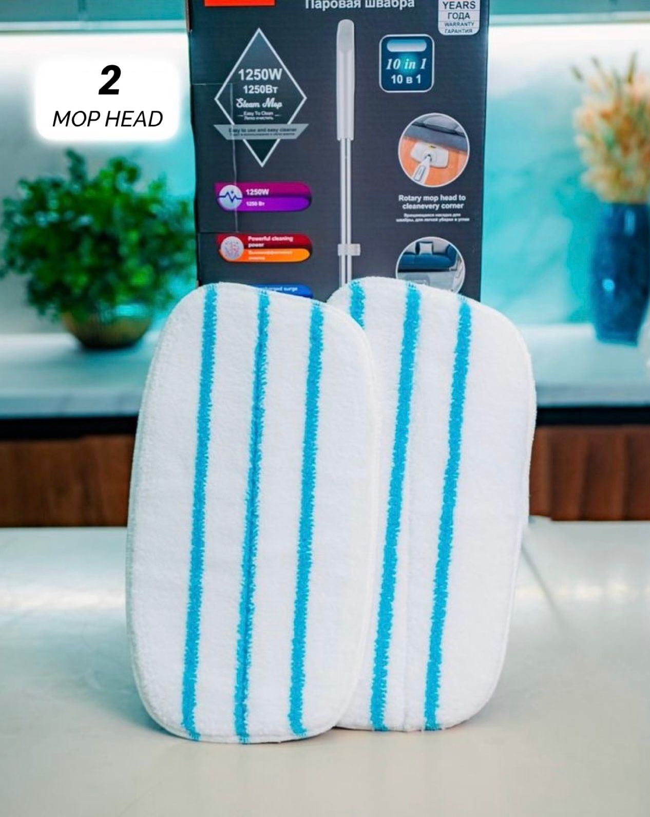 ZS - RAF 10 in 1 Steam Mop