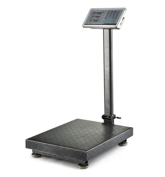 ZS - 300kg Foldable Industrial Weighing and Price Computing Scale