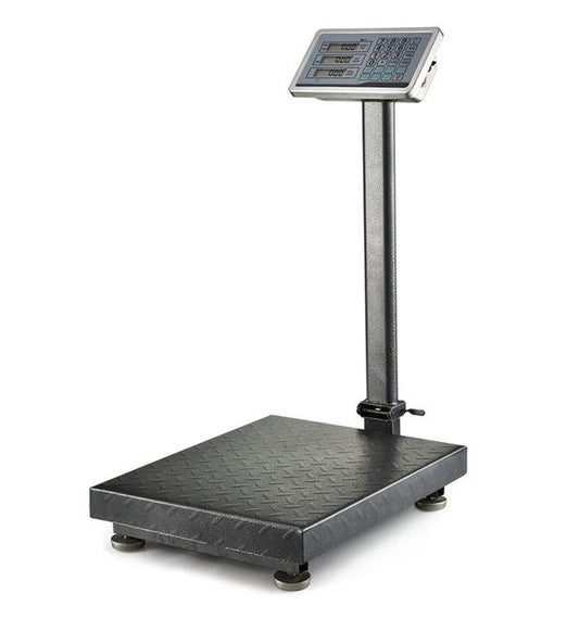 ZS - 300kg Foldable Industrial Weighing and Price Computing Scale