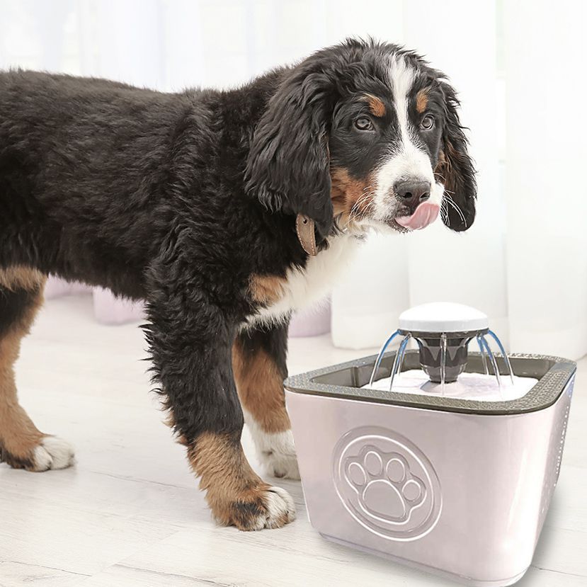 ZS - 2.5L Automatic Pet Water Fountain