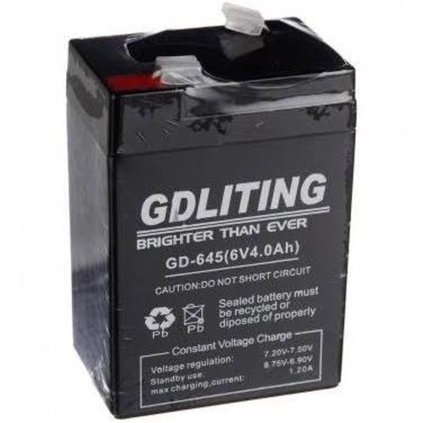 ZS - GD LITE Battery 6V 4AH Sealed Lead-Acid Battery