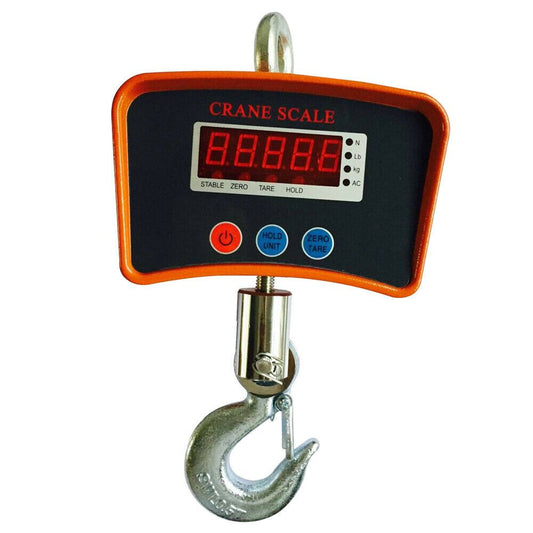 ZS - 500Kg Crane Scale