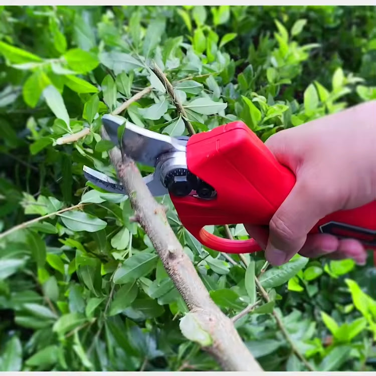 ZS - Cordless Pruning Shears kit