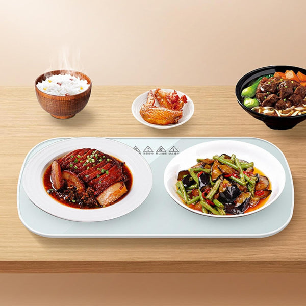 ZS - Multifunctional Intelligent Constant Temperature Food Warming Tray