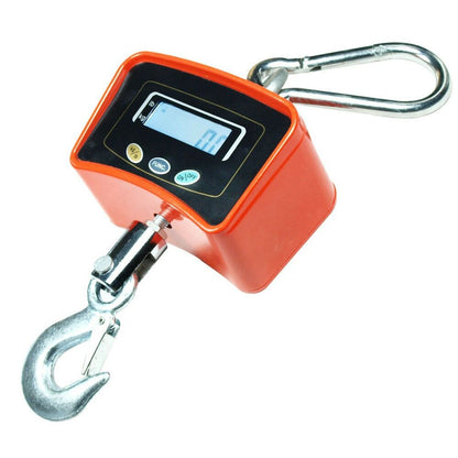 ZS - 500Kg Crane Scale