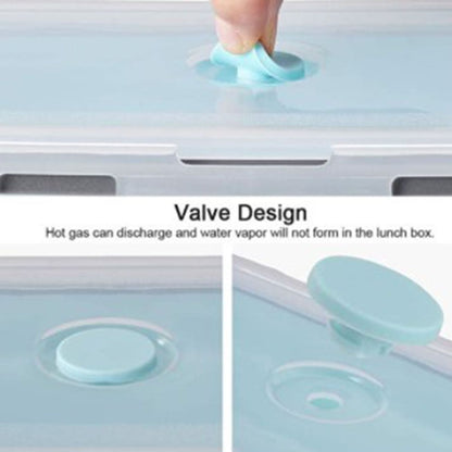 ZS - Collapsible Silicone Lunch Boxes - Set of Four
