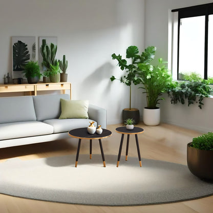 ZS - Diana Coffee Table Set