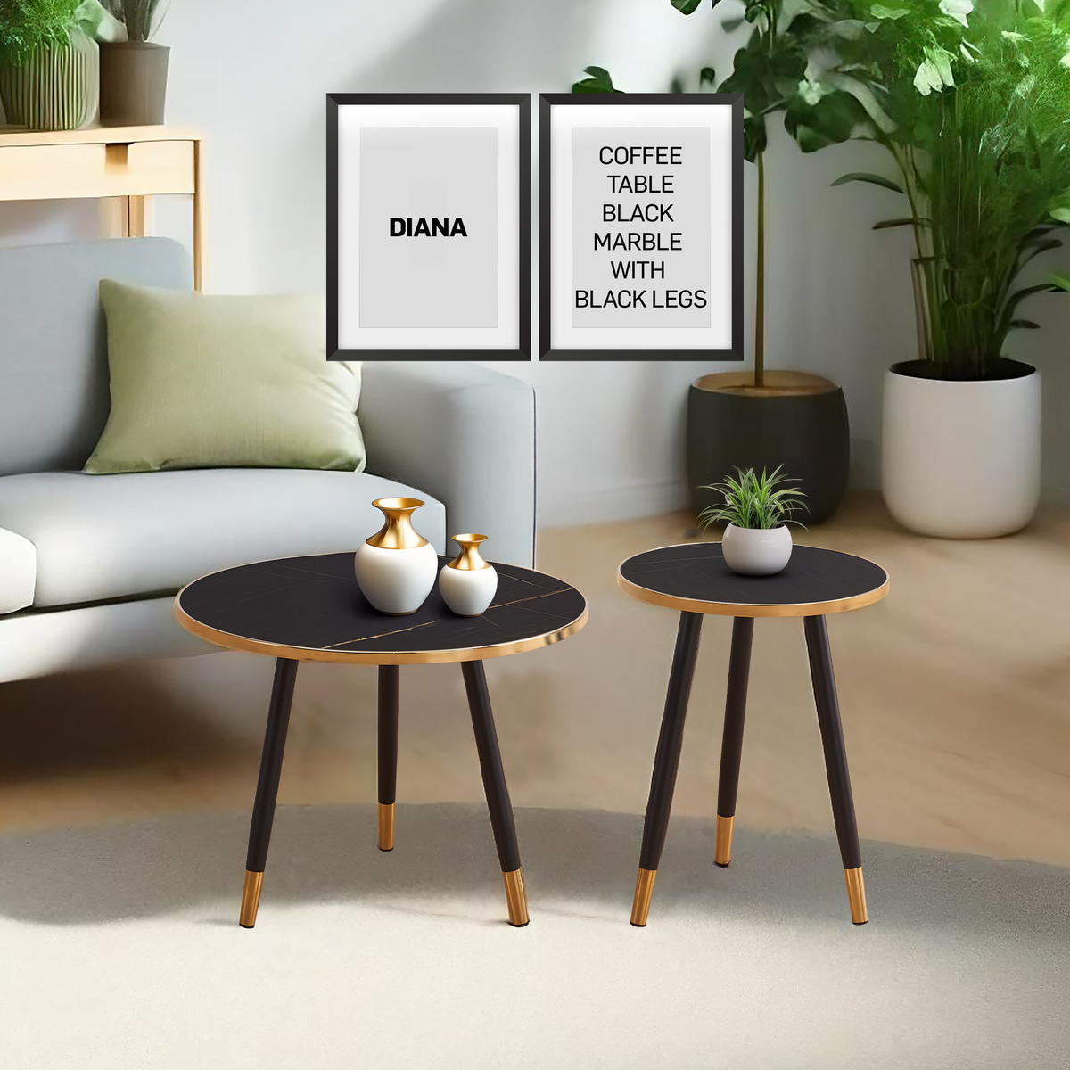 ZS - Diana Coffee Table Set