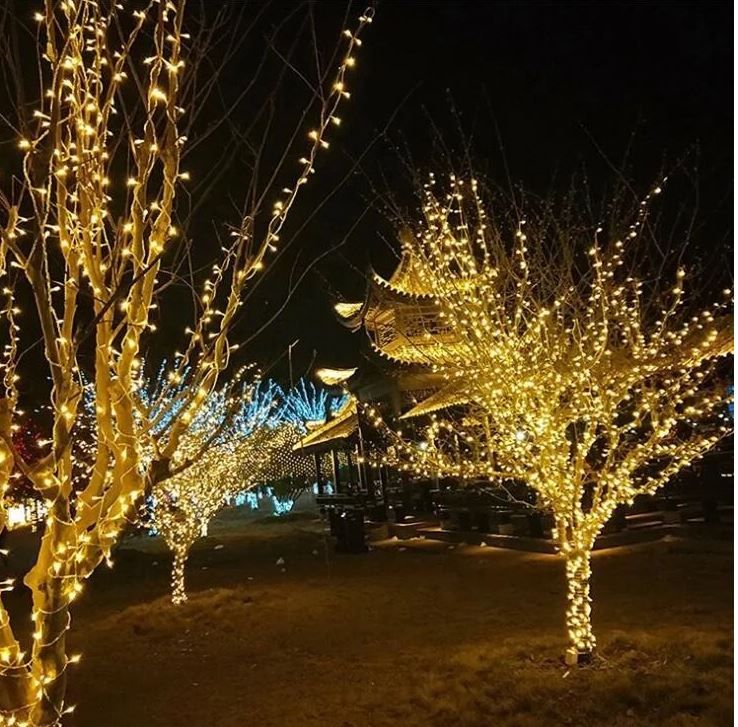 ZS - 20M Fairy String Lights 120LED Christmas Bedroom Outdoor Decoration