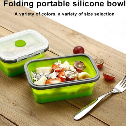 ZS - Collapsible Silicone Lunch Boxes - Set of Four