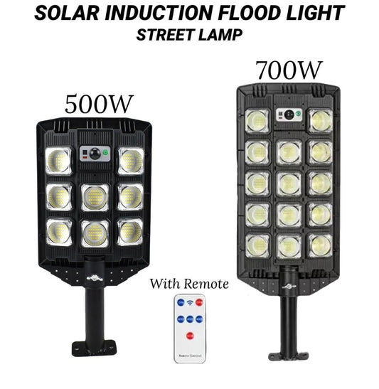 ZS - Solar Induction Flood Light Street Lamp