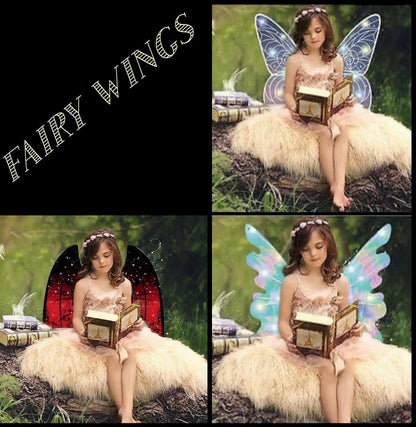 ZS - Fairy Wings