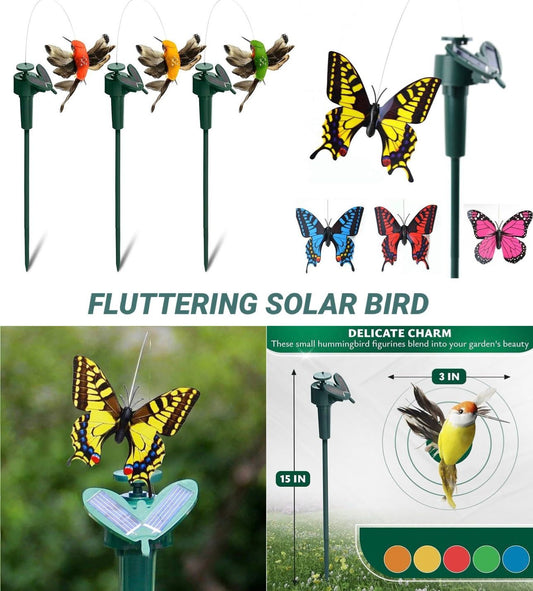 ZS - Fluttering Solar Bird