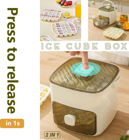 ZS - Ice Cube Box