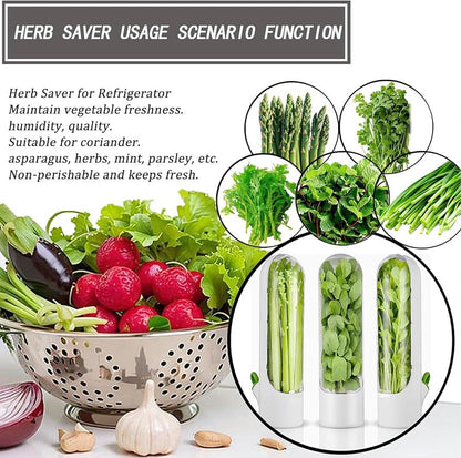 ZS - Herb Keeper Capsule