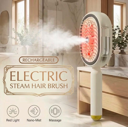 ZS - Electric Steam Hair Brush