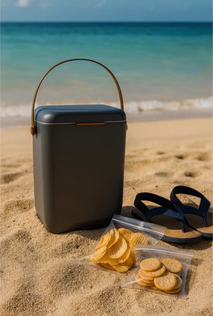 ZS - 10L Compact Cooler Box