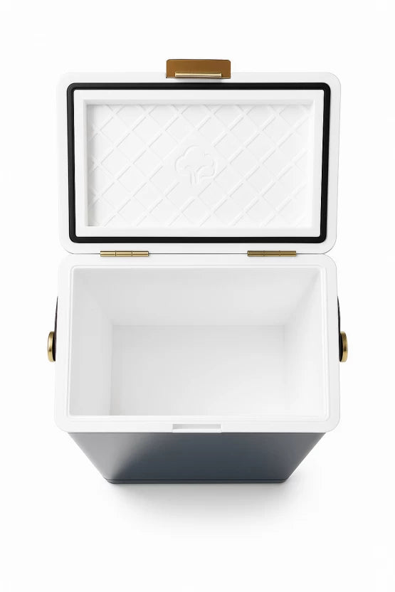 ZS - 10L Compact Cooler Box