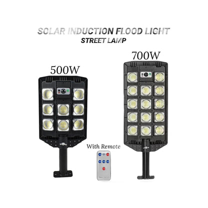 ZS Solar Induction Flood Light Street Lamp