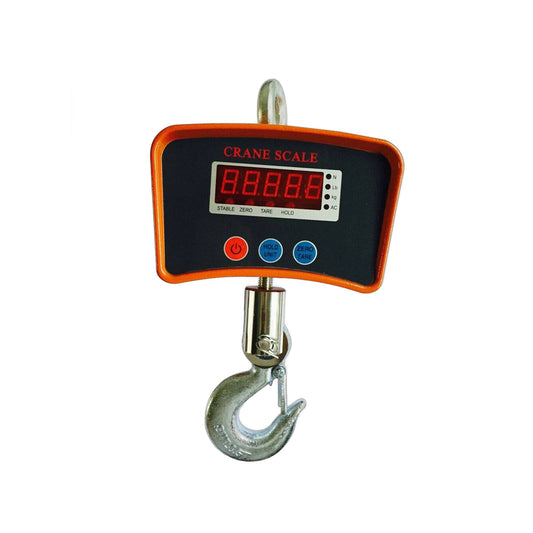 ZS - 500Kg Crane Scale