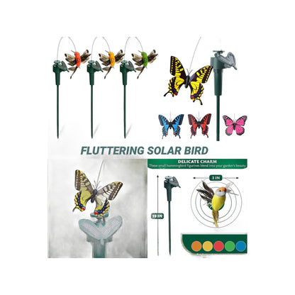 ZS - Fluttering Solar Bird