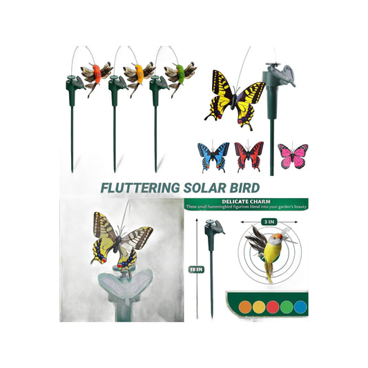 ZS - Fluttering Solar Bird