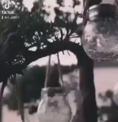 ZS - Solar Lamp Crack Jar Glass