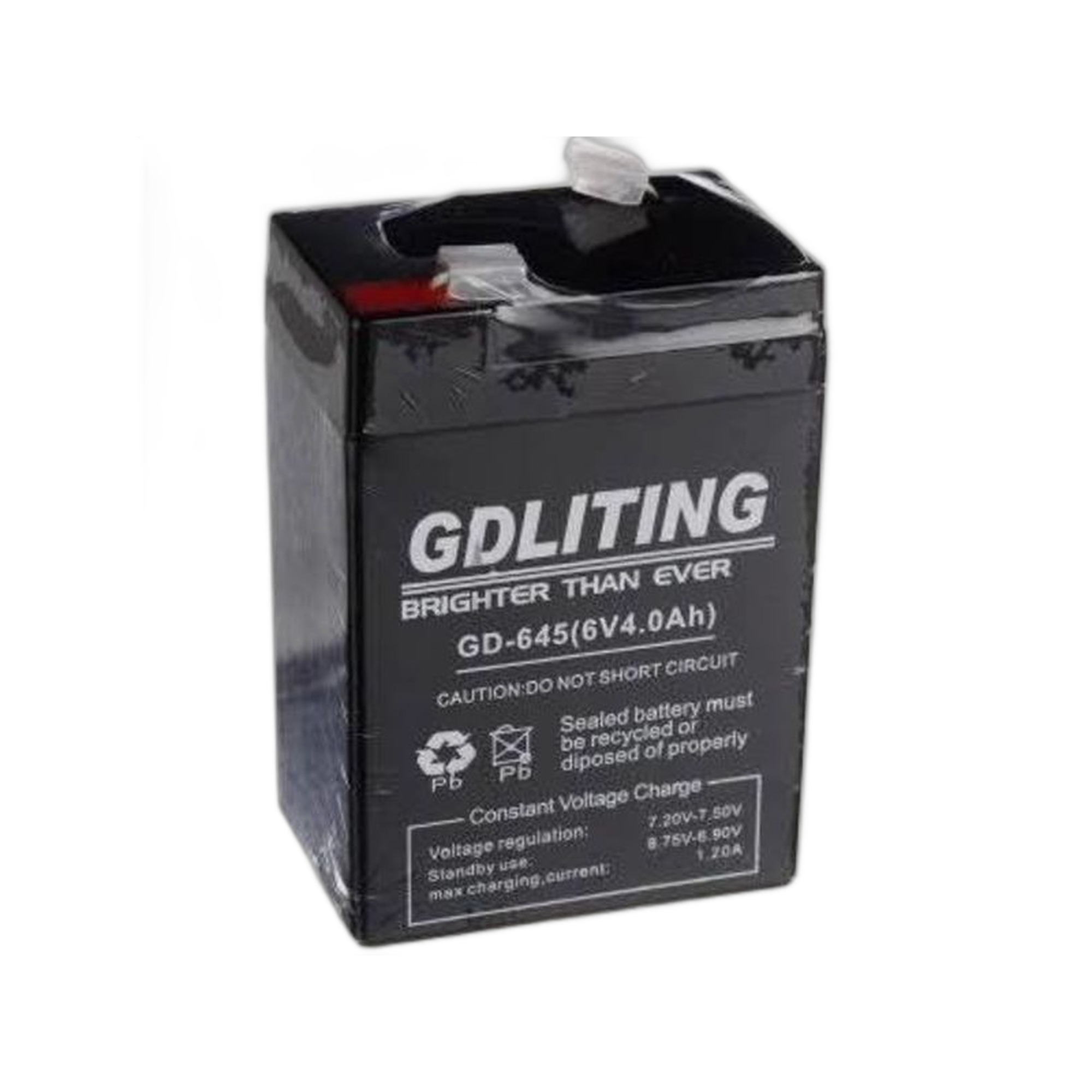 ZS - GD LITE Battery 6V 4AH Sealed Lead-Acid Battery